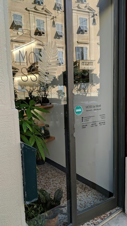 Moss By Marti, Fiorista a Genova