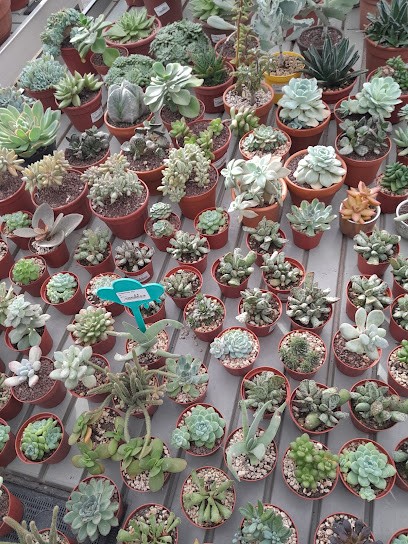 La Serra Social Green, Fiorista a Arcore