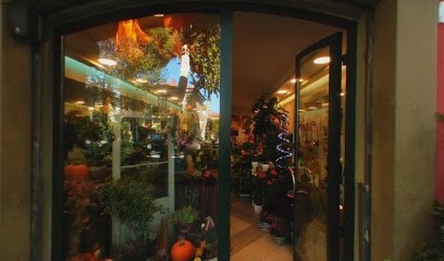 Asso Di Fiori Hobby Verde, Fiorista a Rimini