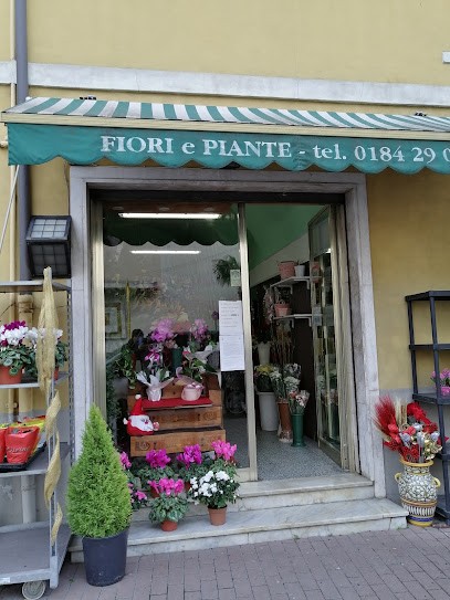 Sofia Domenico, Fiorista a Vallecrosia