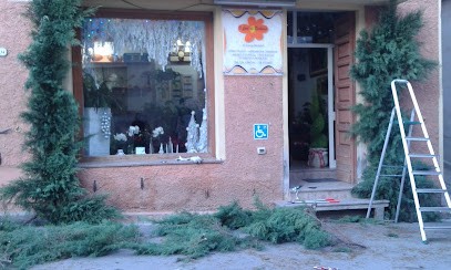 I Fiori di Barbara di Lussu Barbara, Fiorista a Villacidro