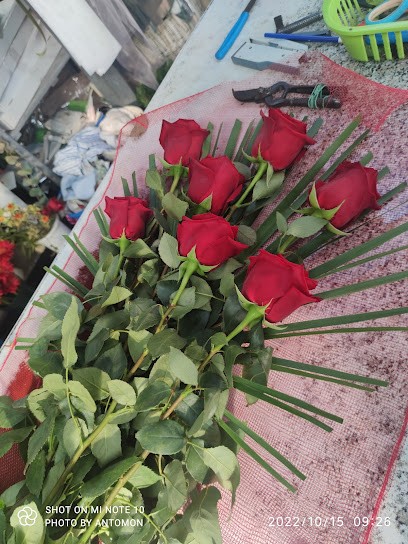 Il Vivaio S.A.S. Di Abate Ambrogio & C., Fiorista a Castel Volturno