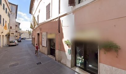 Fioridea Di Petrini Franca, Fiorista a Foligno