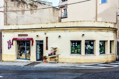IL GIRASOLE Fiori E Piante Di Daniela Dedola, Fiorista a Nuoro