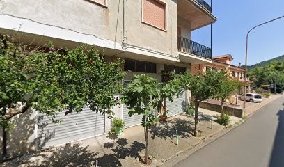 L'Azalea di Angela Forte, Fiorista a Morano Calabro