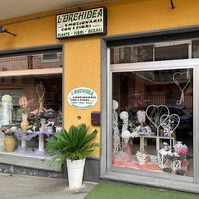 L'Orchidea... Emozionarsi Con I Fiori Di Distefano Graziana, Fiorista a Nicolosi