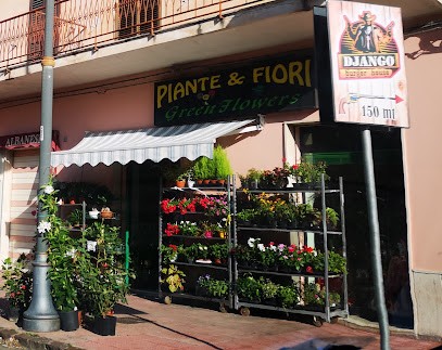 Green Flowers, Fiorista a Marina di Gioiosa Ionica
