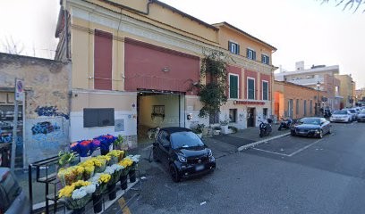 Marazzotti Fiori Srl, Fiorista a Roma