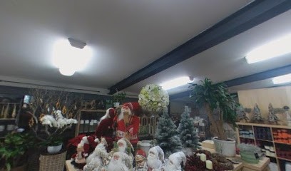 Antica Fioreria, Fiorista a Ancona