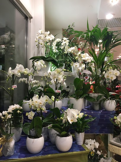 Fioreria Carnica Fratelli Romanello Snc, Fiorista a Tolmezzo