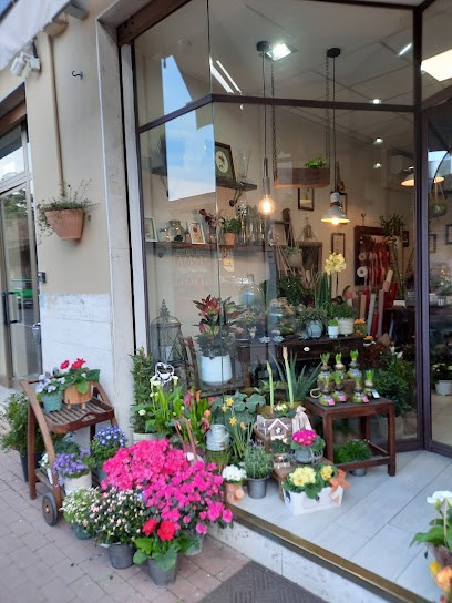 Salotto Botanico, Fiorista a Vignola