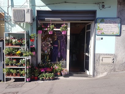 La Bottega Delle Idee, Fiorista a Graniti