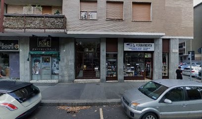 Lapiccirella Brigida, Fiorista a Torino