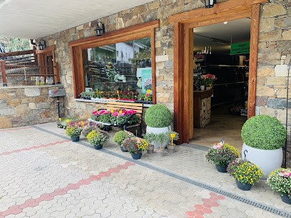 Floricultura Piloni, Fiorista a Tirano