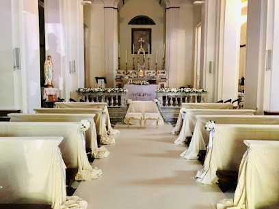 La Piccola Serra Di Pirazzi Rita & C. Sas, Fiorista a Fiuggi