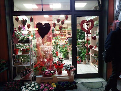 Fioridea S.N.C. Di Senno Erica & Anna Lisa, Fiorista a Eraclea