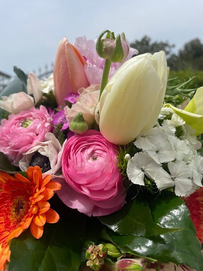 Stefano Antonio, Fiorista a Casarano