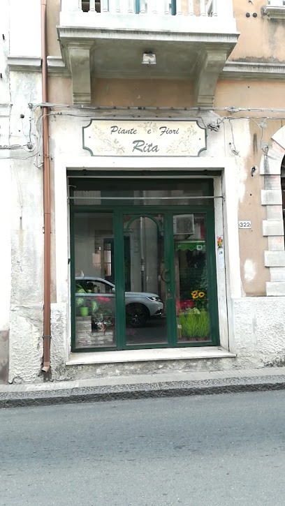 Piante E Fiori =Rita= Di Ardizzone Melissa, Fiorista a Letojanni