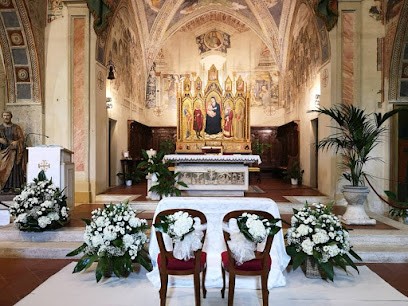 Fiori E Piante Di Salvatore Elisabetta, Fiorista a Orbetello