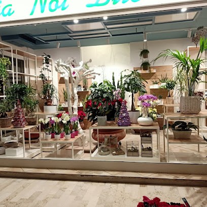 NoiDue fioreria, Fiorista a Lido di Jesolo