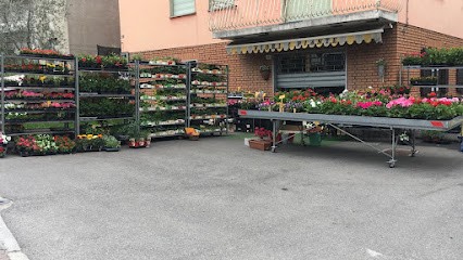 Wickli Art, Fiorista a Malonno