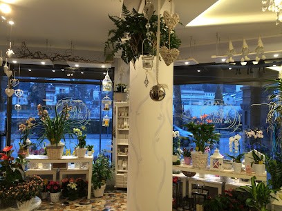 I Fiori Di Katia Di Grendene Katia, Fiorista a Valdagno