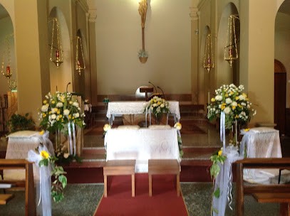 Fioreria Il Bocciolo, Fiorista a Carpi