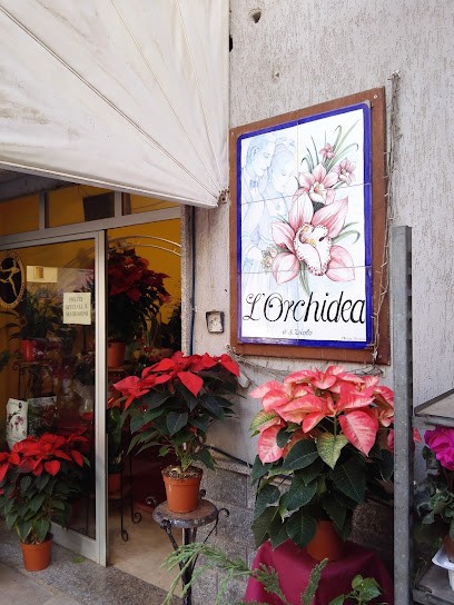 L'orchidea, Fiorista a Sciacca