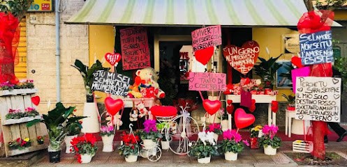 L'eden Dei Fiori, Fiorista a Trebisacce