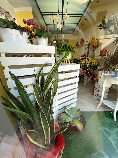 Fiorista Francesca Di Zucchini Francesca, Fiorista a Vaiano