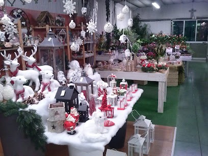 Garden Dalla Cia, Fiorista a Vazzola