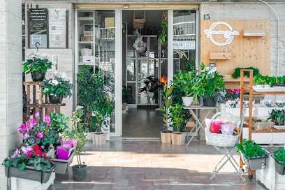 Pensiero Fiorito, Fiorista a Battipaglia