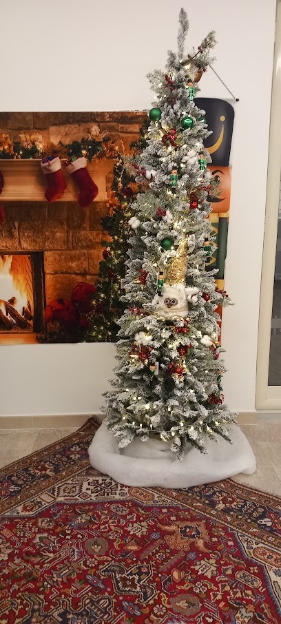 Bocchetti Fiori, Fiorista a Napoli