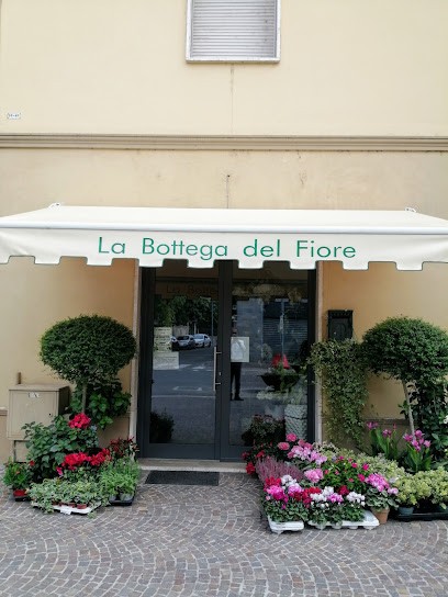 FIORISTA La Bottega Del Fiore Di Maria Mannarino, Fiorista a Tortona