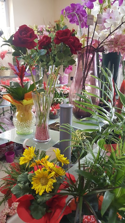 Tinari Aldo, Fiorista a Mirto