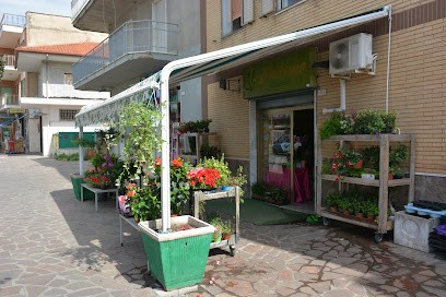 Ikebana Fioreria, Fiorista a Minturno