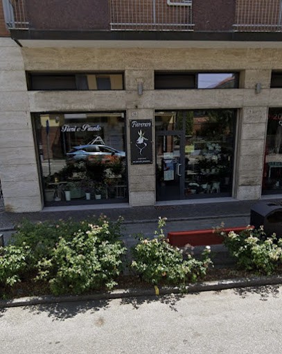 Fioreraro Di Bacchini Marilena, Fiorista a Maranello