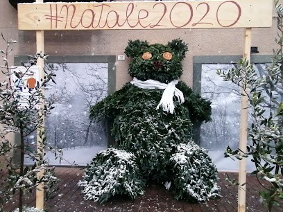 Officina Del Verde, Fiorista a Tavernerio