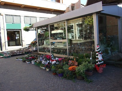 Serra Fiorita - Fiori, Bomboniere E Articoli Da Regalo, Fiorista a Viterbo