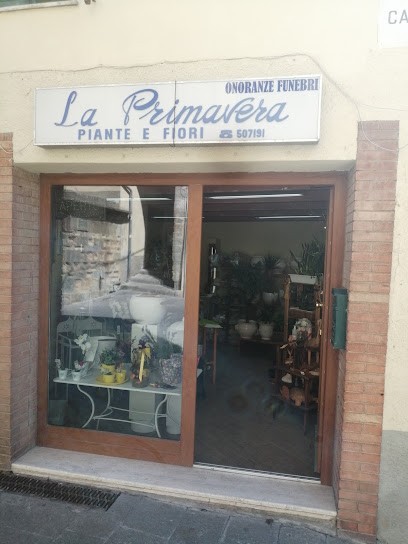 Onoranze Funebri Monellini, Fiorista a Scansano