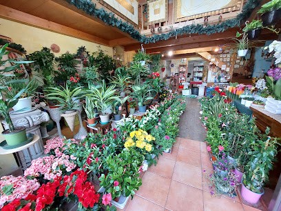 Fioriente, Fiorista a Oppido Lucano