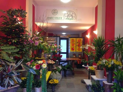Fiori Pellegrino Punto Verde, Fiorista a Torino