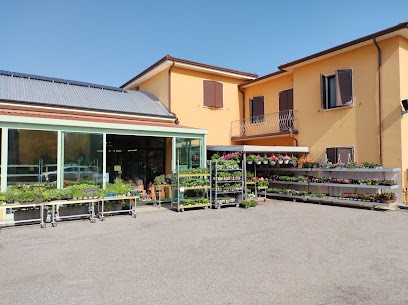 Pinotti - Fiori, Piante e Articoli per Animali, Fiorista a San Benedetto Po