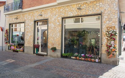 Petite Fleur, Fiorista a Druento