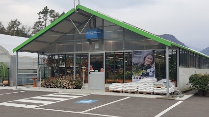 Il Tulipano Garden Soc. Agr. Il Tulipano Di Angeli Dante & C. SS, Fiorista a Villa Santina