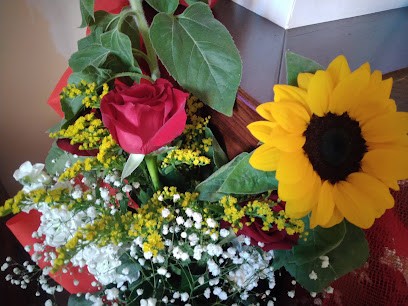 Adea Piante Fiori, Fiorista a Spoltore