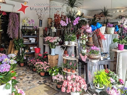 Urbani Natale, Fiorista a Roma