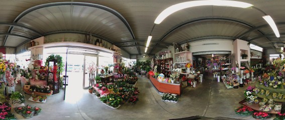 COPIF Piante E Fiori Forlì, Fiorista a Forlì