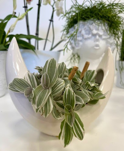 LO STILE DEL VERDE, Fiorista a Ragusa