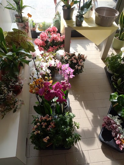 Porzionato Tiziana, Fiorista a Fara Novarese